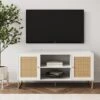 Rattan & Wood 2-Door TV Cabinet White