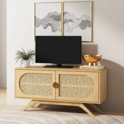 Rattan & Wood Rounded Door TV Cabinet